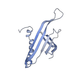 8709_5vlz_KH_v1-5
Backbone model for phage Qbeta capsid