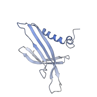 8709_5vlz_KI_v1-4
Backbone model for phage Qbeta capsid