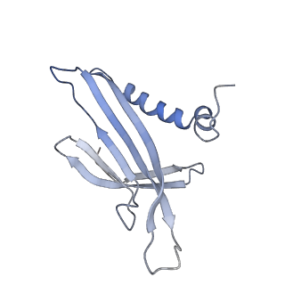 8709_5vlz_KI_v1-5
Backbone model for phage Qbeta capsid