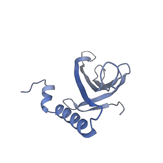 8709_5vlz_KJ_v1-5
Backbone model for phage Qbeta capsid