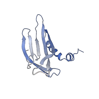 8709_5vlz_KN_v1-4
Backbone model for phage Qbeta capsid