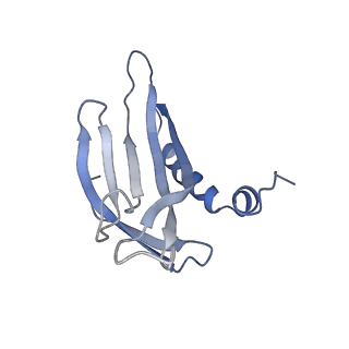 8709_5vlz_KN_v1-5
Backbone model for phage Qbeta capsid