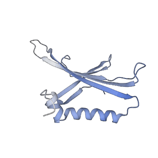 8709_5vlz_LA_v1-4
Backbone model for phage Qbeta capsid