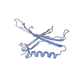 8709_5vlz_LA_v1-5
Backbone model for phage Qbeta capsid