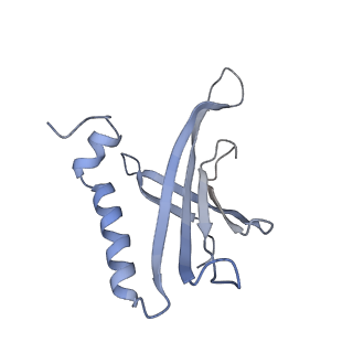 8709_5vlz_LD_v1-4
Backbone model for phage Qbeta capsid