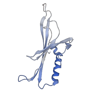 8709_5vlz_LG_v1-4
Backbone model for phage Qbeta capsid