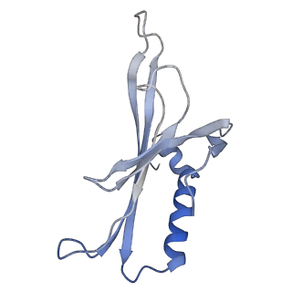 8709_5vlz_LG_v1-5
Backbone model for phage Qbeta capsid