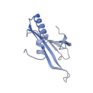 8709_5vlz_LH_v1-4
Backbone model for phage Qbeta capsid