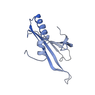 8709_5vlz_LH_v1-5
Backbone model for phage Qbeta capsid