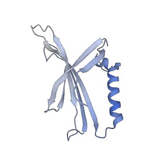 8709_5vlz_LL_v1-4
Backbone model for phage Qbeta capsid