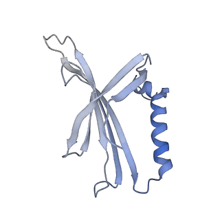 8709_5vlz_LL_v1-5
Backbone model for phage Qbeta capsid