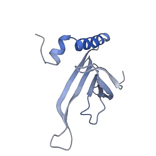 8709_5vlz_LM_v1-4
Backbone model for phage Qbeta capsid