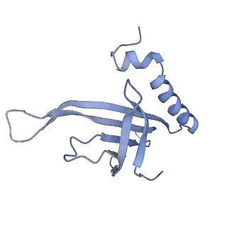 8709_5vlz_MA_v1-4
Backbone model for phage Qbeta capsid