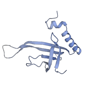 8709_5vlz_MA_v1-5
Backbone model for phage Qbeta capsid