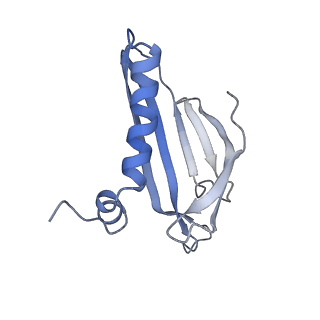 8709_5vlz_MB_v1-4
Backbone model for phage Qbeta capsid