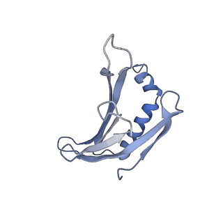 8709_5vlz_MC_v1-5
Backbone model for phage Qbeta capsid