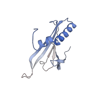 8709_5vlz_MD_v1-4
Backbone model for phage Qbeta capsid