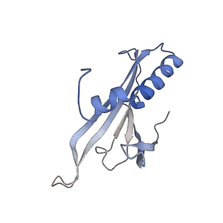 8709_5vlz_MD_v1-5
Backbone model for phage Qbeta capsid