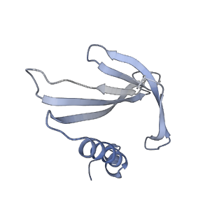 8709_5vlz_ME_v1-5
Backbone model for phage Qbeta capsid