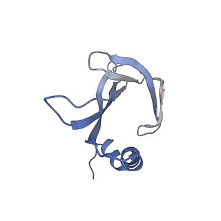 8709_5vlz_MF_v1-5
Backbone model for phage Qbeta capsid