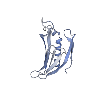 8709_5vlz_MG_v1-5
Backbone model for phage Qbeta capsid