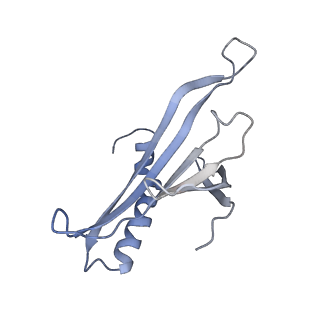 8709_5vlz_MI_v1-5
Backbone model for phage Qbeta capsid