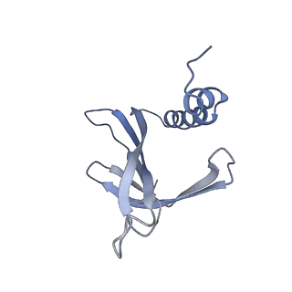 8709_5vlz_MJ_v1-4
Backbone model for phage Qbeta capsid