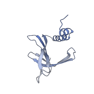 8709_5vlz_MJ_v1-5
Backbone model for phage Qbeta capsid