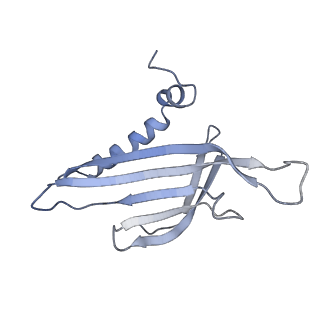 8709_5vlz_ML_v1-5
Backbone model for phage Qbeta capsid