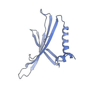 8709_5vlz_MM_v1-5
Backbone model for phage Qbeta capsid