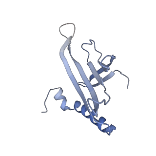 8709_5vlz_MN_v1-4
Backbone model for phage Qbeta capsid