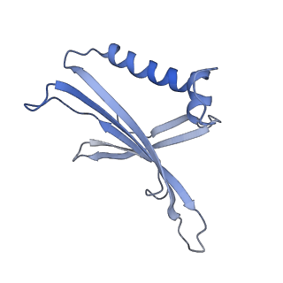 8709_5vlz_NA_v1-4
Backbone model for phage Qbeta capsid