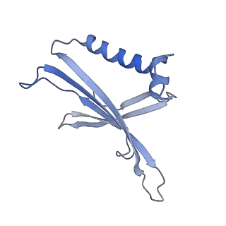 8709_5vlz_NA_v1-5
Backbone model for phage Qbeta capsid