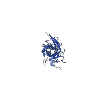 21234_6vm0_B_v1-1
Full length Glycine receptor reconstituted in lipid nanodisc in Gly/IVM-conformation (State-1)