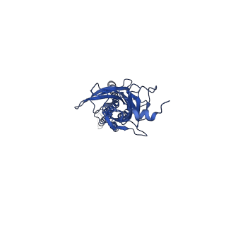 21236_6vm2_C_v1-2
Full length Glycine receptor reconstituted in lipid nanodisc in Gly/IVM-conformation (State-2)