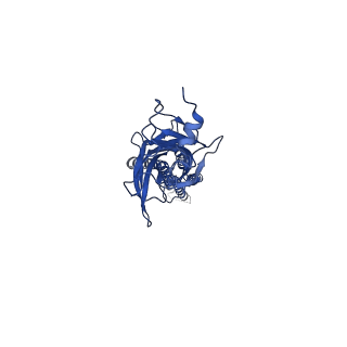 21236_6vm2_D_v1-2
Full length Glycine receptor reconstituted in lipid nanodisc in Gly/IVM-conformation (State-2)