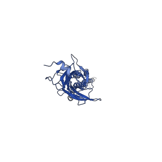 21236_6vm2_E_v1-1
Full length Glycine receptor reconstituted in lipid nanodisc in Gly/IVM-conformation (State-2)
