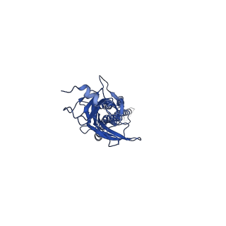 21236_6vm2_E_v1-2
Full length Glycine receptor reconstituted in lipid nanodisc in Gly/IVM-conformation (State-2)