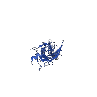 21237_6vm3_A_v1-1
Full length Glycine receptor reconstituted in lipid nanodisc in Gly/IVM-conformation (State-3)