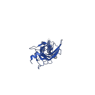 21237_6vm3_A_v1-2
Full length Glycine receptor reconstituted in lipid nanodisc in Gly/IVM-conformation (State-3)