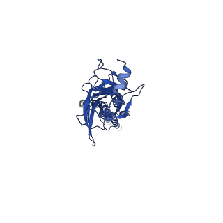 21237_6vm3_D_v1-1
Full length Glycine receptor reconstituted in lipid nanodisc in Gly/IVM-conformation (State-3)
