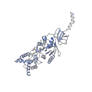 21240_6vmd_A_v1-1
Chloroplast ATP synthase (C1, CF1)
