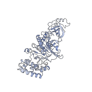 21240_6vmd_B_v1-1
Chloroplast ATP synthase (C1, CF1)