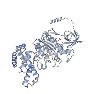 21240_6vmd_C_v1-1
Chloroplast ATP synthase (C1, CF1)
