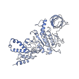 21240_6vmd_D_v1-1
Chloroplast ATP synthase (C1, CF1)