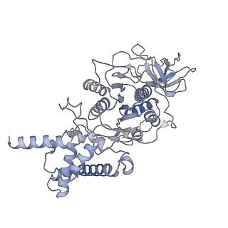 21240_6vmd_E_v1-1
Chloroplast ATP synthase (C1, CF1)