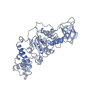 21240_6vmd_F_v1-1
Chloroplast ATP synthase (C1, CF1)