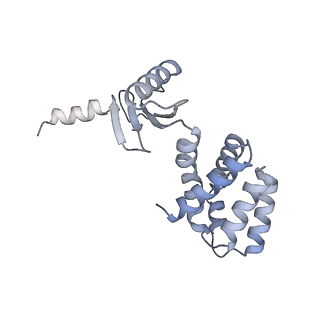 21240_6vmd_d_v1-1
Chloroplast ATP synthase (C1, CF1)