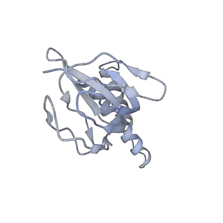 21240_6vmd_e_v1-1
Chloroplast ATP synthase (C1, CF1)