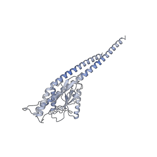 21240_6vmd_g_v1-1
Chloroplast ATP synthase (C1, CF1)